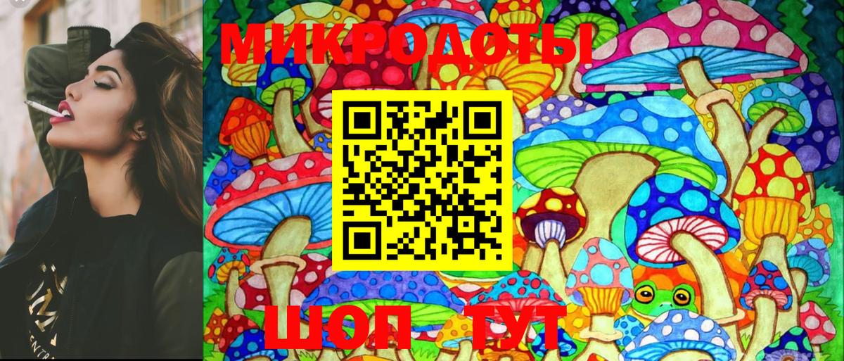 Псилоцибиновые грибы MAGIC MUSHROOMS  Вход с VPN  Скопин 